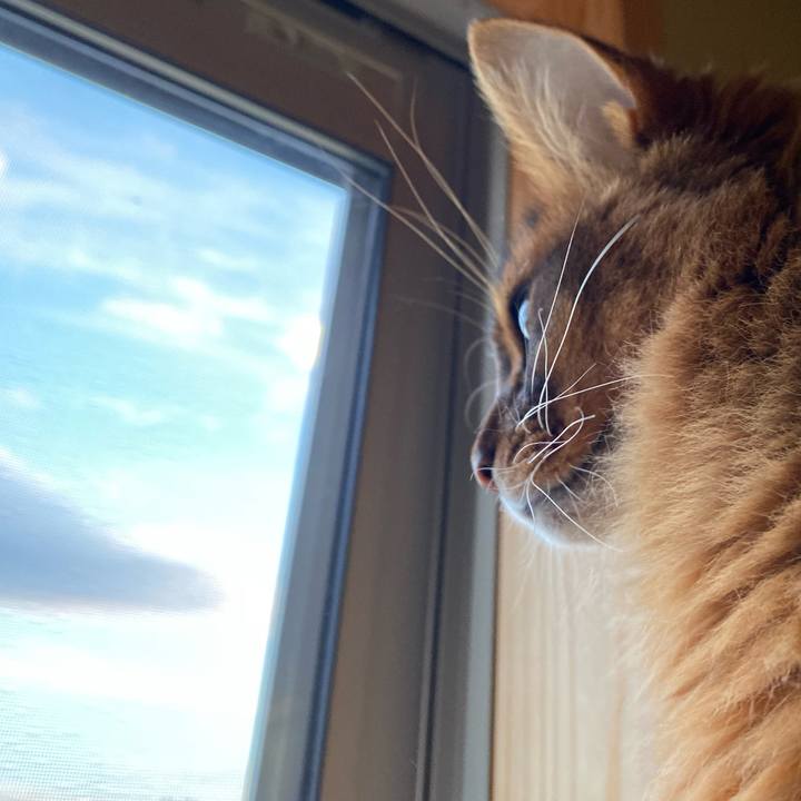 1f450123 eec0 4f5f 8083 bebb83874246 1672991564479