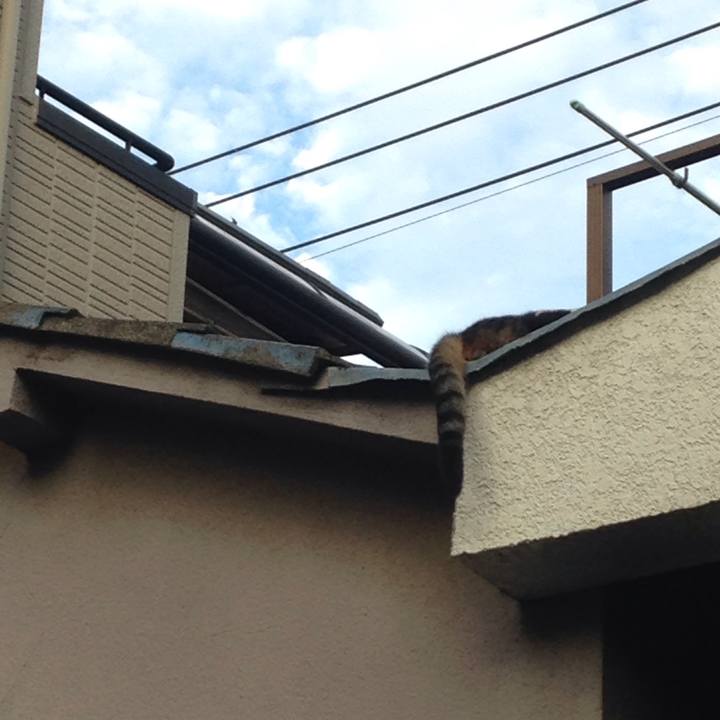 1f45039b 7054 437a 995c c0dad56efcb9 1509719063485