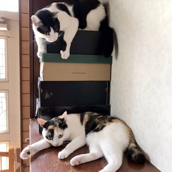 1f4522d5 6d19 4ae4 8cb4 7e4a054b2f70 1532563797720