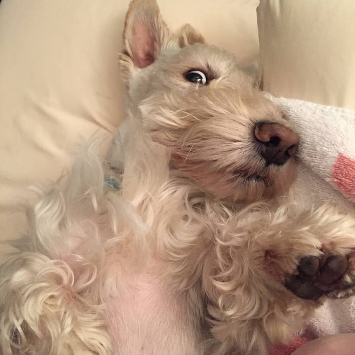 1f452c23 d45a 4991 87ae 27646b927b19 1512438992487