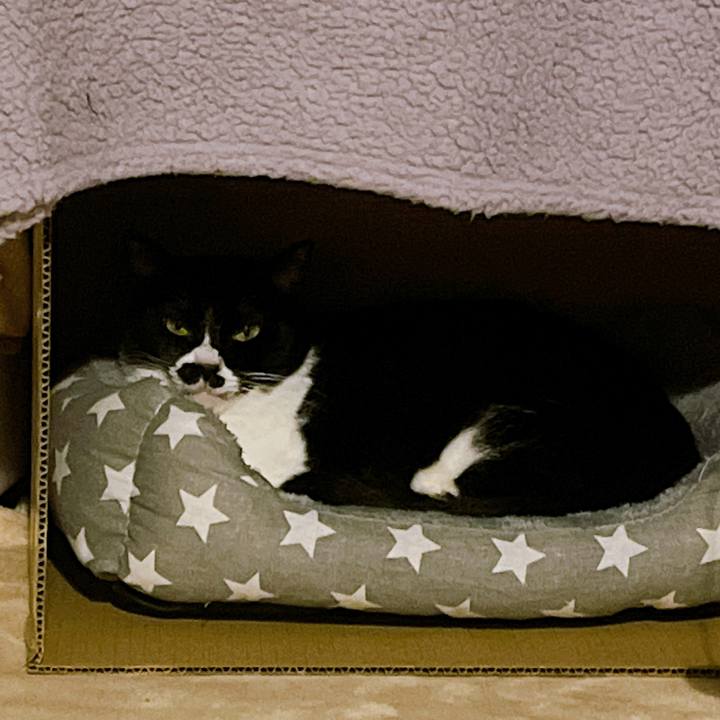 1f45357d c773 4e35 939e 9f5513d9beed 1669290464566