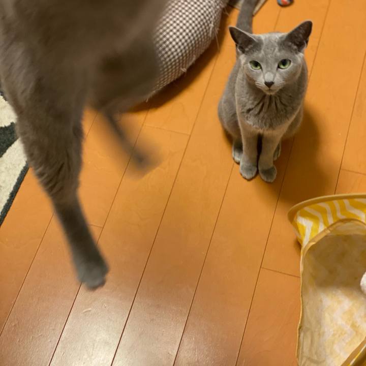 1f45817b 4195 439f 9cdd 0677b7371abf 1652844953413