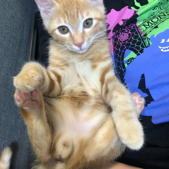 1f458889 582e 4e8b 9a55 b585480023ee 1565017061171