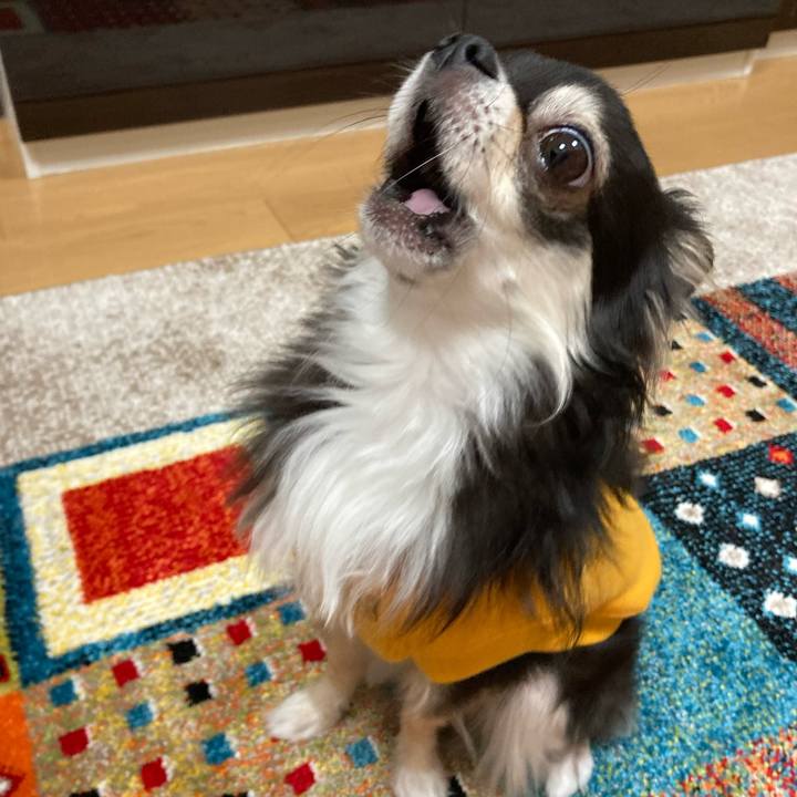 1f458c39 ed3c 469f 8a44 1d03993c9d2a 1679842678794