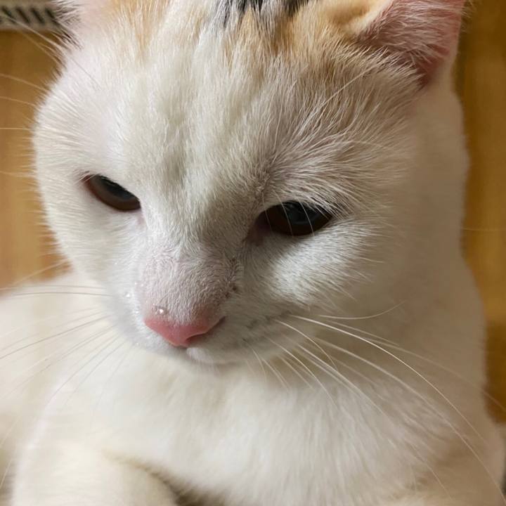 1f458f37 b625 4fee b91c ac1637aedad4 1610721027493