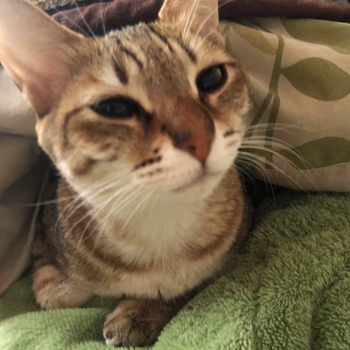 1f45c0f8 ba6e 48aa 9aed 954237580b2f 1642808440228