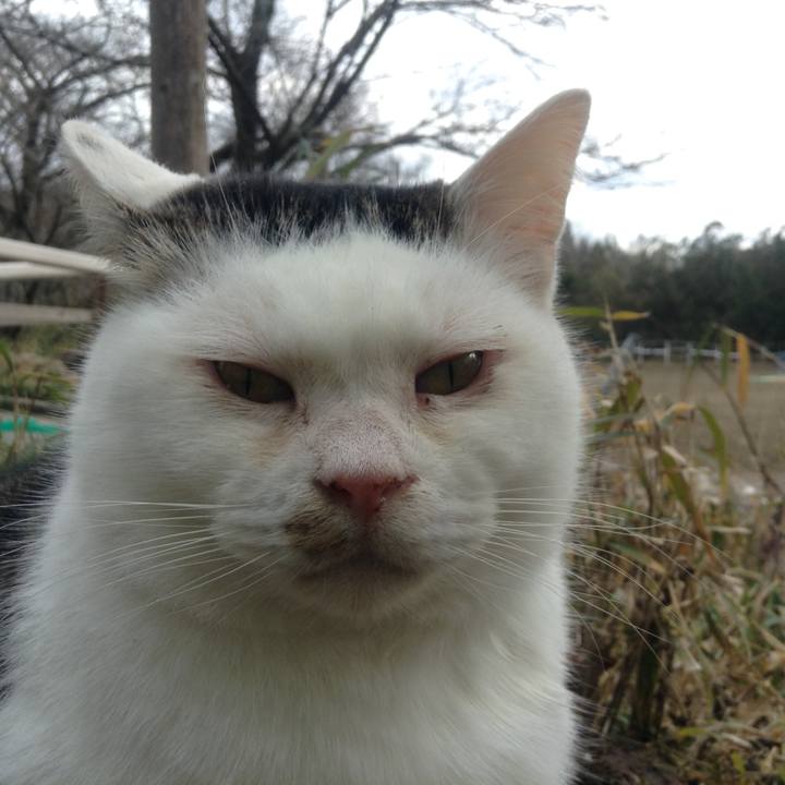 1f45c55d 904e 4645 b234 4c41ec40916d 1615121894652