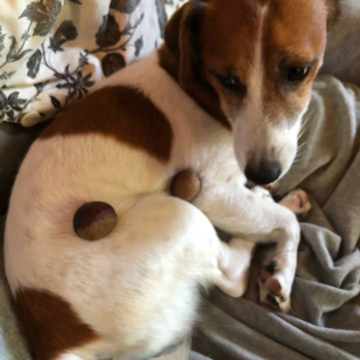 1f45d30f 50d7 4b7e abee 578c1712c539 1538451782329