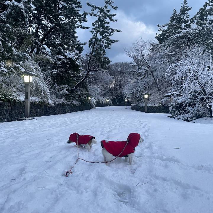 1f45ee5e 6f21 4057 82a0 8c31a3448b95 1736463609461