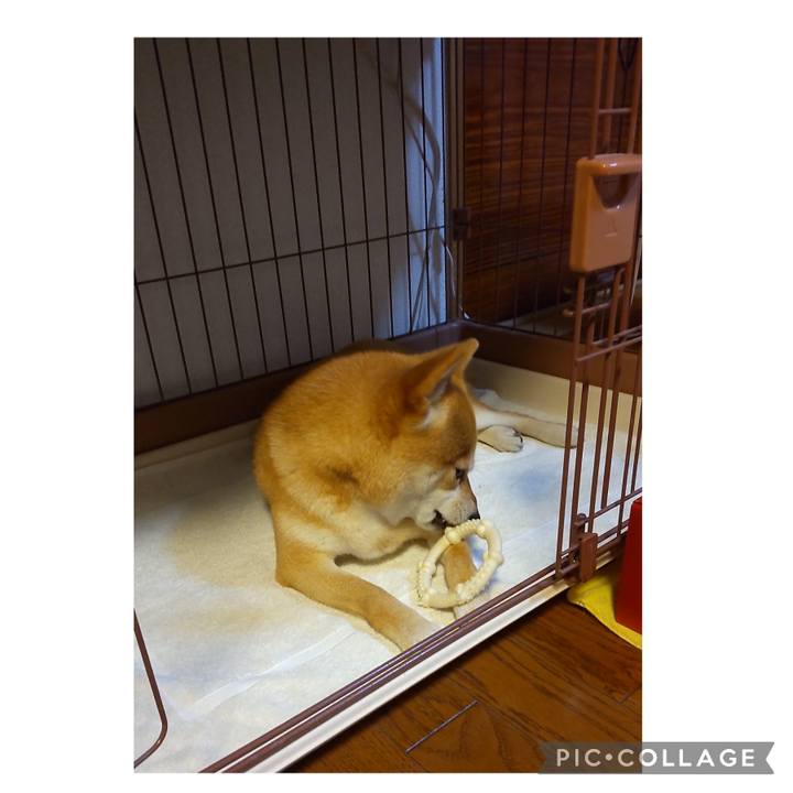 1f45f85e ef56 43f9 9013 be70f96f7605 1687258926812