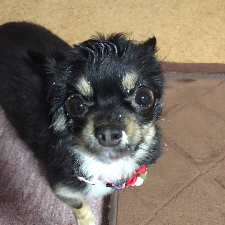 1f45ff48 b585 41fc bffc 9021766d707a 1525557011424