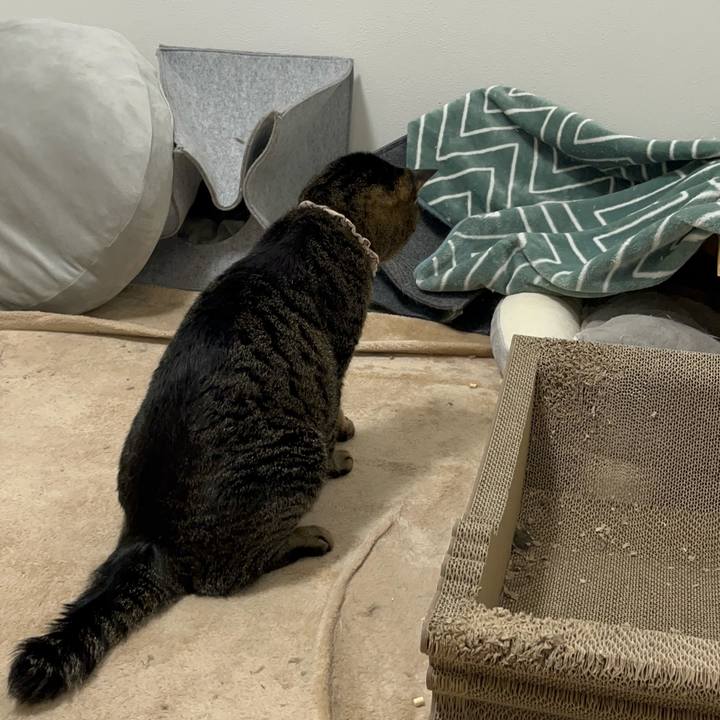 1f4643af 9750 47f3 bd17 cb6b95b92940 1762004003150