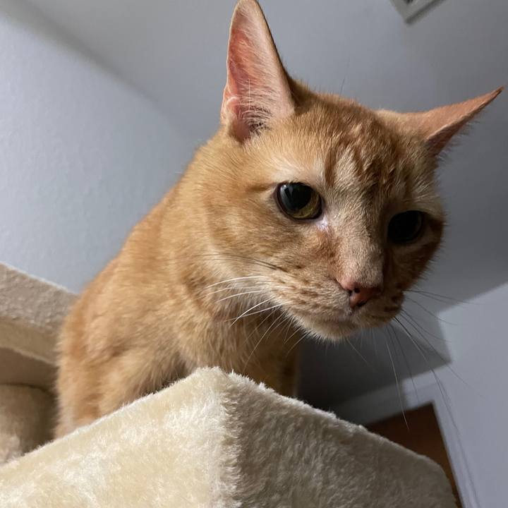 1f466533 23e7 426a ad38 47adbf491f03 1694576725491