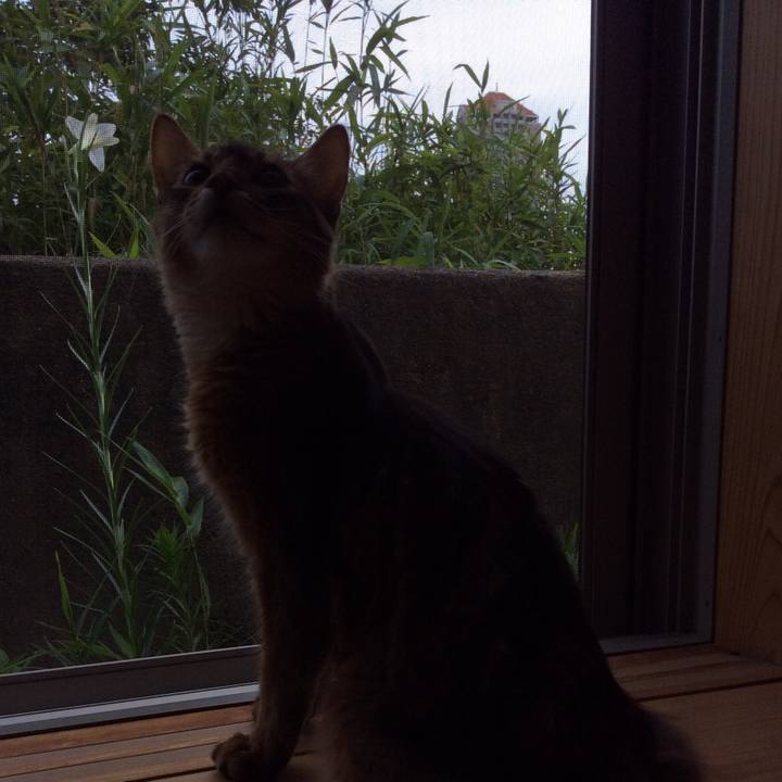 1f46b200 5aec 4f23 80b0 f8496c60198d 1566465813322