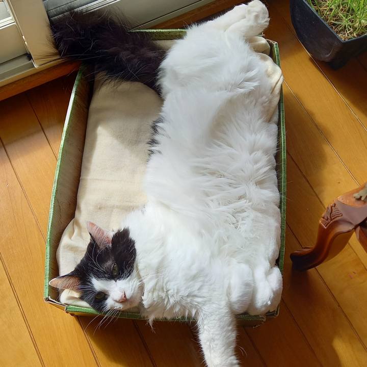 1f46c3f4 c8db 455e a577 654464f52295 1602415529376