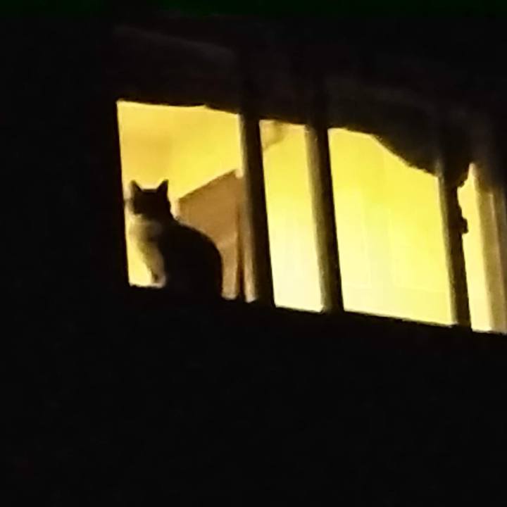 1f46c802 3ce6 4fee 9d19 0a9ac2ab4cc5 1664111233882