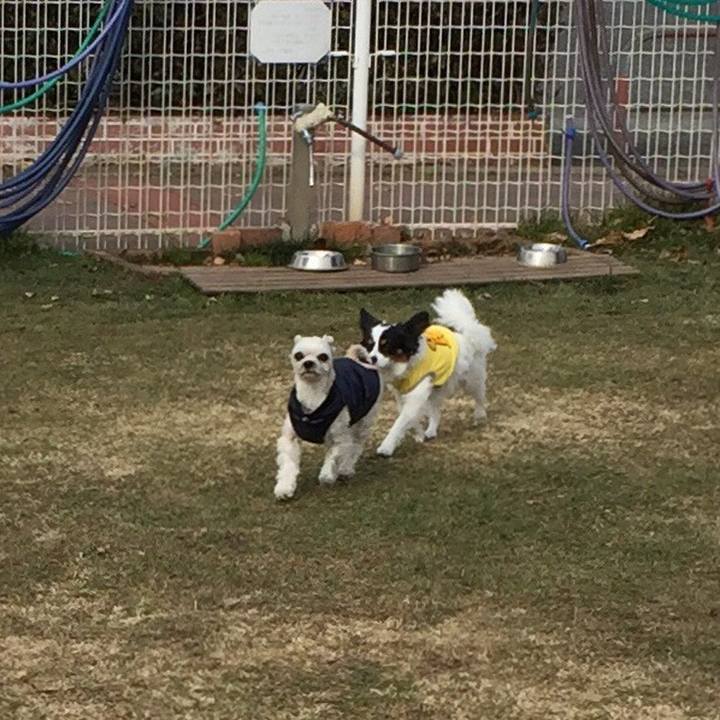 1f46df85 7286 47c1 a408 fde7885c4ab3 1546751678663