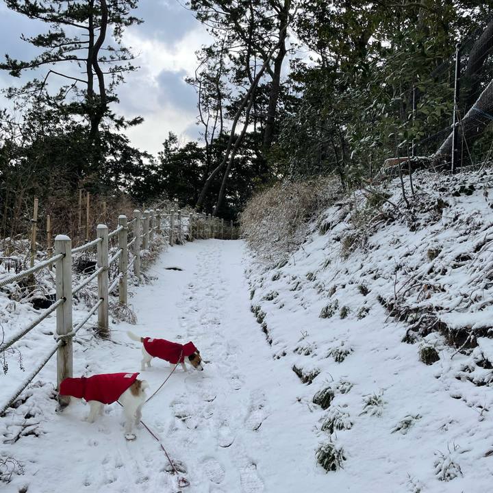 1f46f121 6da6 452d 9748 821424988e0a 1644020889890