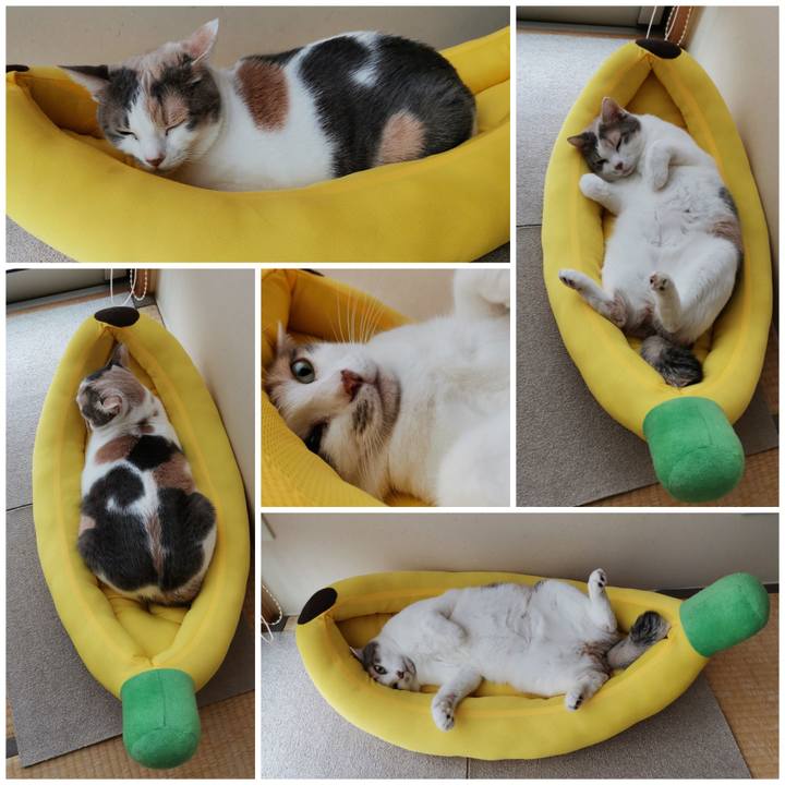 1f472288 3fb5 4a2a bb73 adcec0e0d5a3 1666843940908