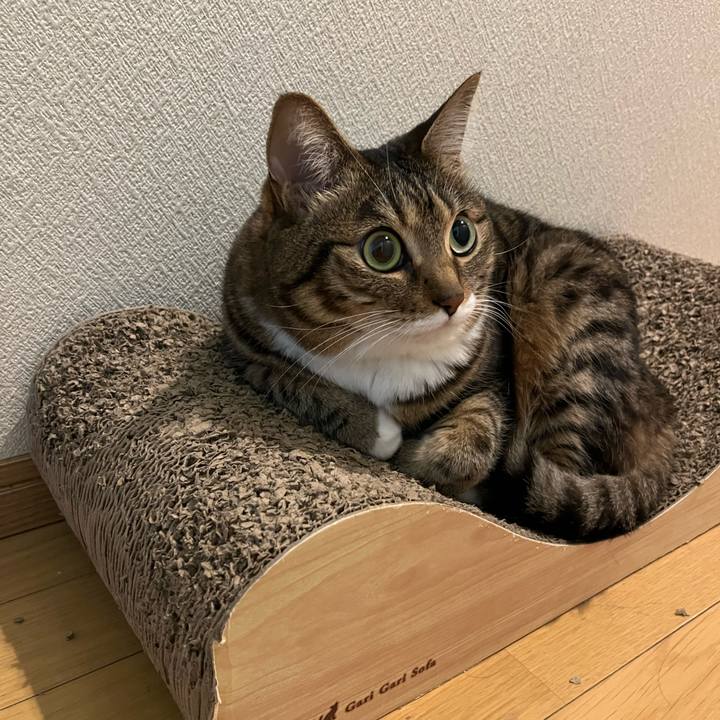 1f4790df bd2e 48ac b250 81085f8a5cbe 1684333422950