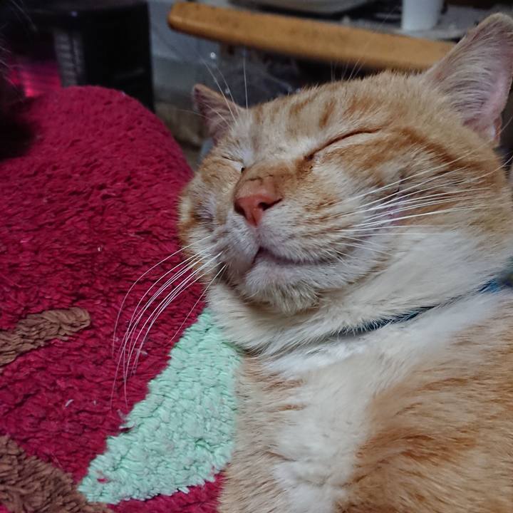 1f47d09d b955 48b8 975b 4bec9008cebd 1555498260339