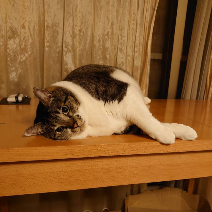 1f480fb7 f86a 4eec 8d41 2c6ed7b78b8a 1600079522747