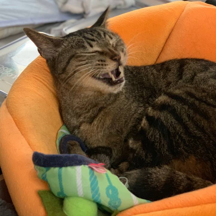 1f485c81 f54a 4862 a1d7 120990db62f0 1562202244574