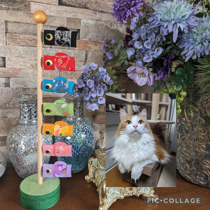 1f487b91 2c26 43e6 80d9 5294bedef1f7 1714882442799