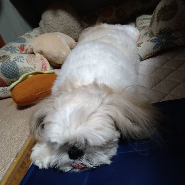 1f48b379 b470 44d4 bae1 cd36c2a2c3f5 1659318657072