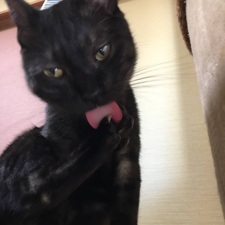 1f48b815 0bb5 4387 a4ca 5ee84a013a17 1550710578285