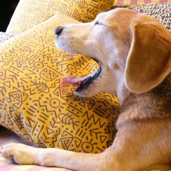 1f48ece1 2a03 45ae a247 641955602100 1672105174127