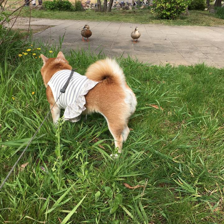 1f490699 7a7d 49ba 97fc 9ddee9960d24 1524116851658