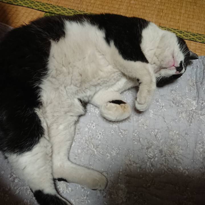 1f4918c5 a9fd 412a bb5e 671b8c7f3ce3 1646220218065