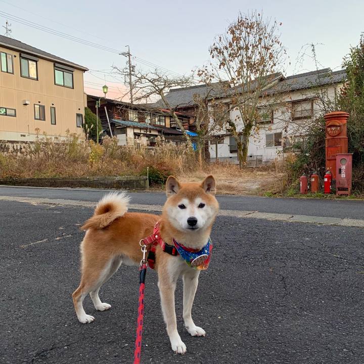 1f493217 da43 490c b6c8 e3c30b0ba02c 1638177314134