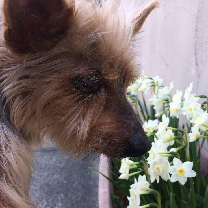 1f4982d6 153d 4b3b 93f7 f927f67e6517 1618009872000