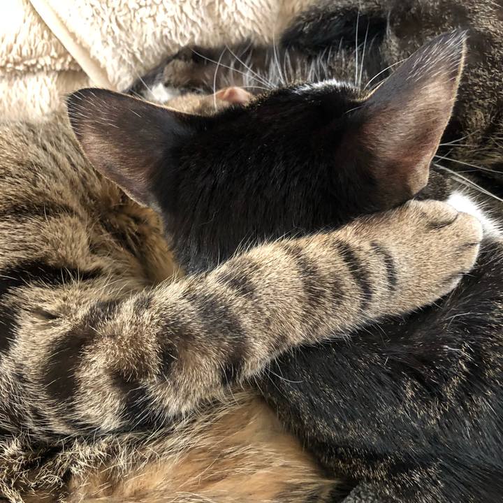 1f4987b9 a610 40ad a7d9 80e793293bbe 1520050917533