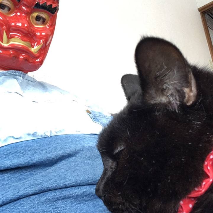 1f498ab0 19c0 46d9 9377 b2c7b370df81 1547355426639