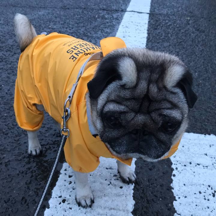 1f498fe9 5f29 4657 b06e 26be2842fa8b 1589629250517