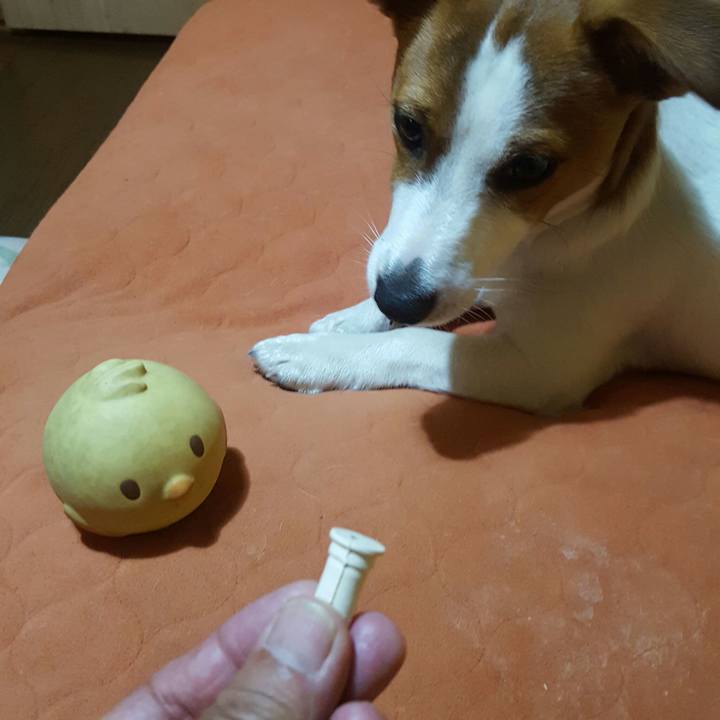 1f49a0cf 336a 44ba b748 338d31a41e42 1558520088834