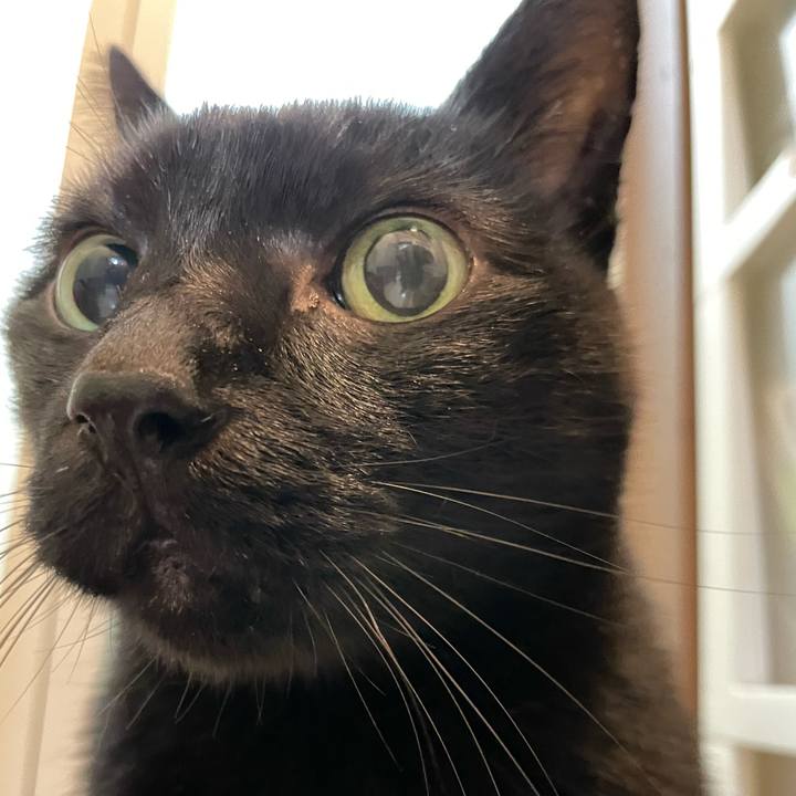 1f49a5fc 2549 4c04 829a 699e677590a7 1635556755441