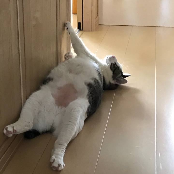 1f49bf3d 5de1 4237 8148 22009d29c212 1532158486970