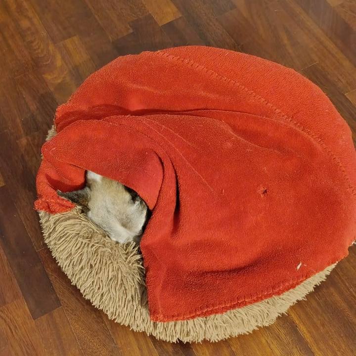 1f4a2a76 1891 45d6 8de2 be6182d90be8 1763769604717