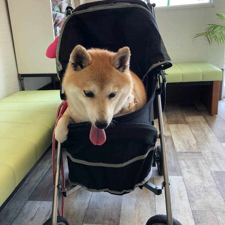 1f4a581a 7cfc 435d be95 2228f9a68aa5 1562551298585