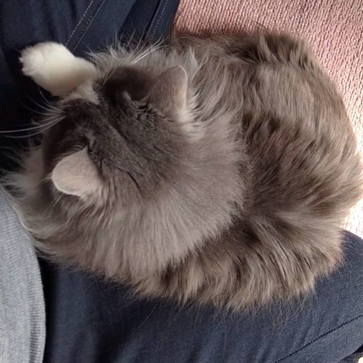 1f4a70d8 0b7d 4860 a3b4 e5b65c31ebed 1646537380945