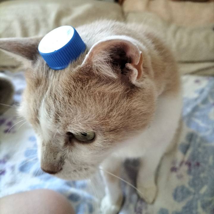 1f4acf43 1dbb 4cfe 983e 7a66aa79ee6c 1652014463195