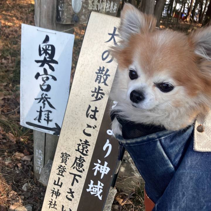 1f4af980 d8ff 4991 aa3a 5fb0f4226efc 1771283234044