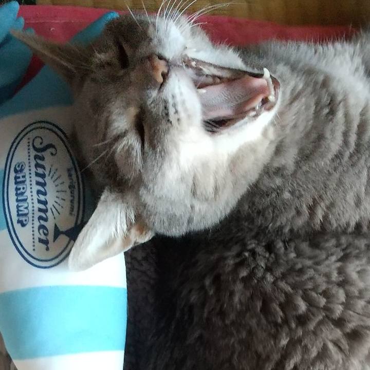 1f4b2d1e c5eb 48d0 8691 78dab6bf9fc4 1695537789784