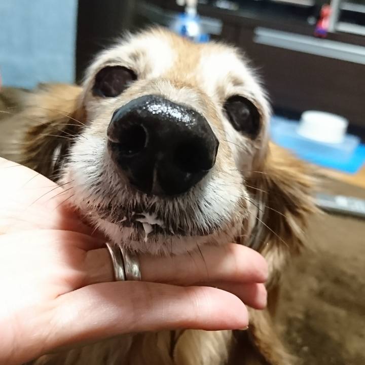 1f4ba5b7 cfe7 4559 9ba2 023f35e2f9d4 1516785510548