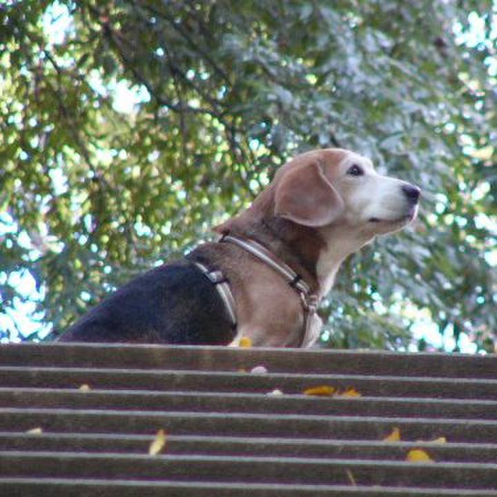 1f4ba97d 62a6 488e a33e 65aa69fe2e4f 1648689859263