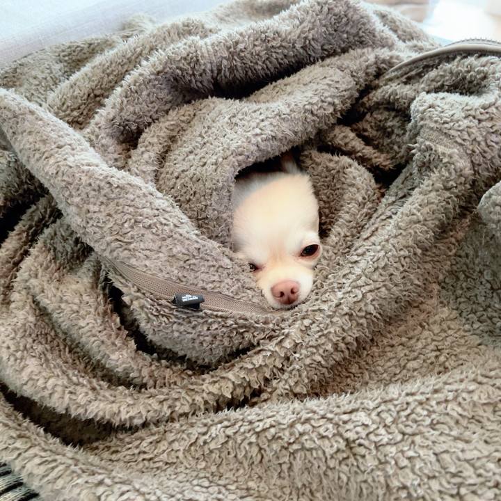 1f4bb257 7fbb 43a9 b4e9 0d8c93e28da1 1701126478834